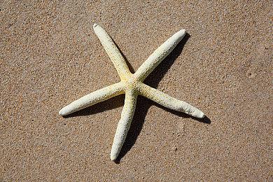 8月XGP离库游戏增加多款：《无主之地3》等